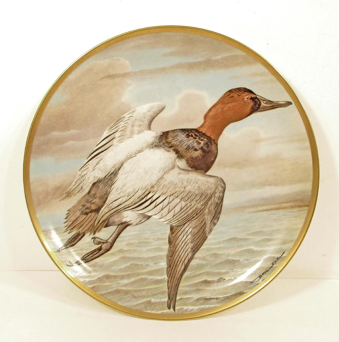 VINTAGE BASIL EDE WATER BIRDS OF THE WORLD CANVASBACK: 9" diameter