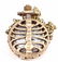 SKELETON STEAMPUNK POCKET WATCH W/ CHAIN