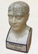 PORCELAIN PHRENOLOGY HEAD STATUE