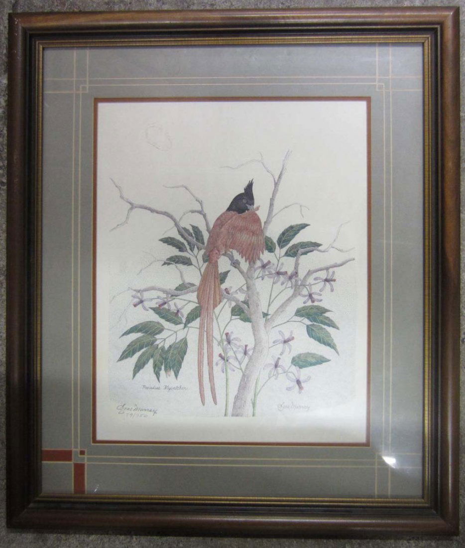SIGNED AND NUMBERED PRINT OF PARADISE FLYCATCHER -: Approx. 25.5" by 29.5"