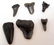 14246 - LOT OF 6 FOSSILIZED MEGALODON SHARK TEETH