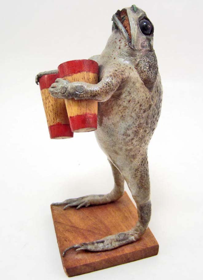 FROG TAXIDERMY PLAYING BONGO DRUMS: Approx. 7" tall