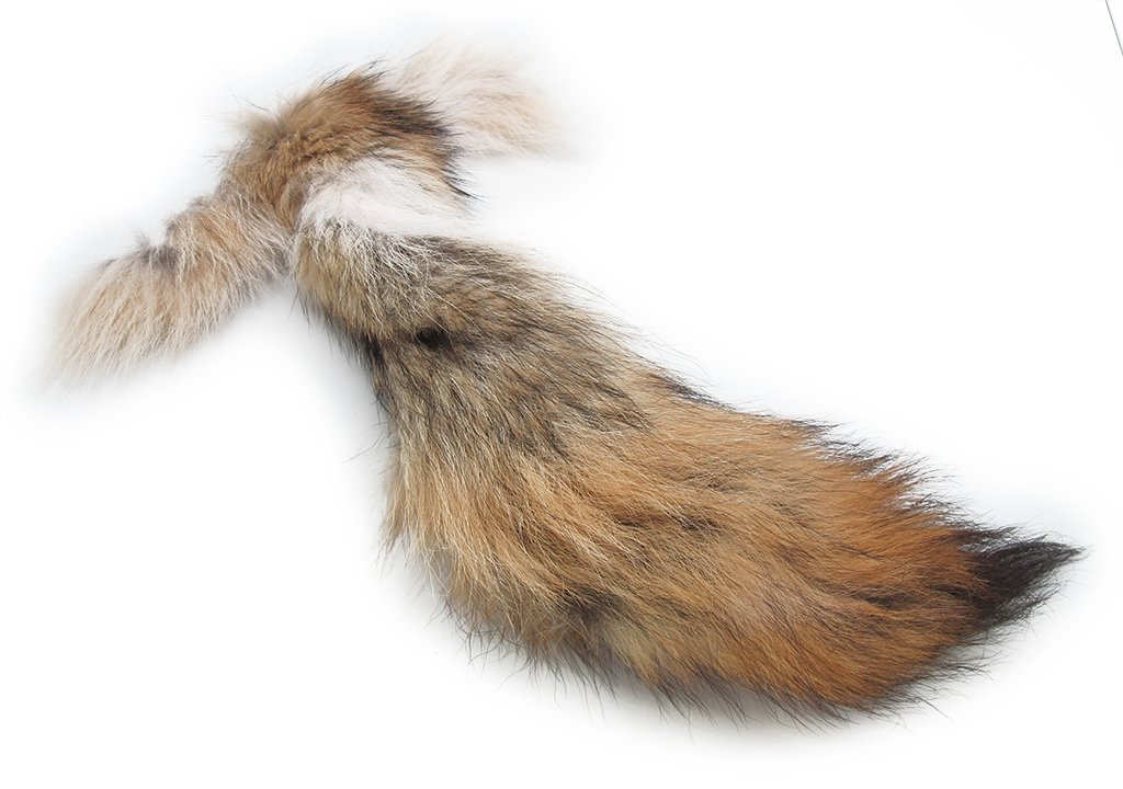 15" AUTHENTIC COYOTE TAIL: n/a
