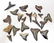 LOT OF APPROX. 20 MEGALODON ERA FOSSILIZED SHARK TEETH
