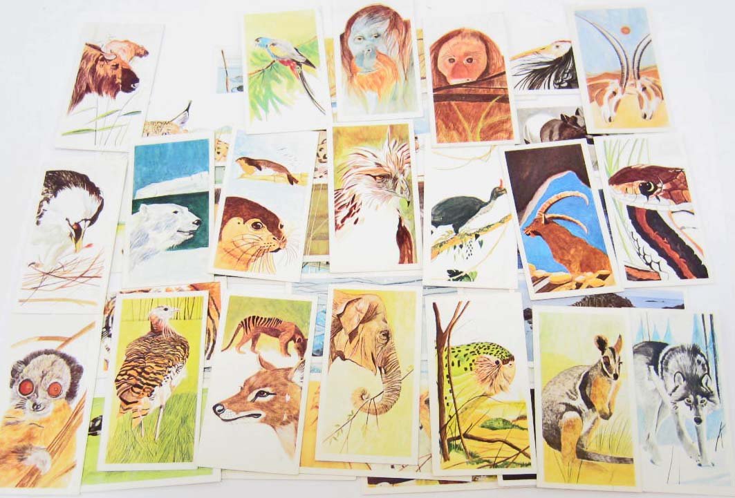 SET OF VINTAGE BROOKE BOND TEA CARDS: Vanishing Wildlife. These cards are the same size as Cigarette Cards. They were issued with every Brooke Bond Tea and Tea Bags