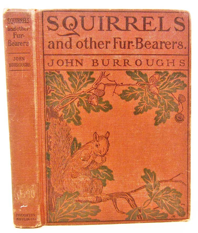 1917 "SQUIRRELS AND OTHER FUR-BEARERS" HARDCOVER BOOK: By John Burroughs. with 15 Illustrations in color after Audubon and a Frontispiece from Lie.