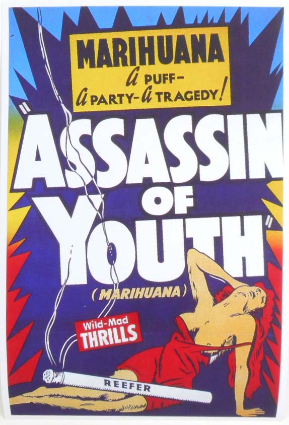 ASSASSIN OF YOUTH ANTI MARIHUANA MOVIE POSTER PRINT: Approx. 11" by 17"