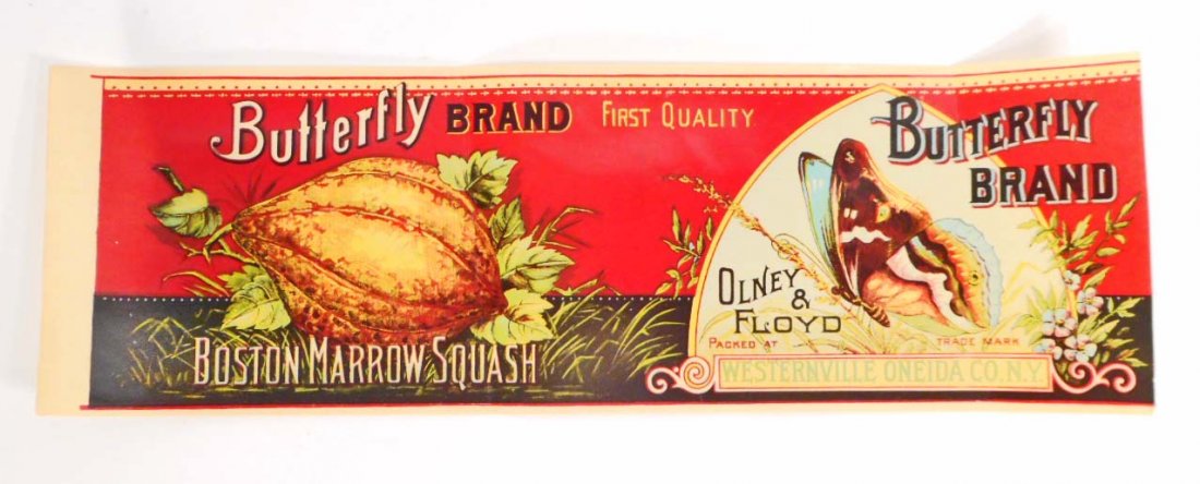 VINTAGE BUTTERFLY BRAND SQUASH ADVERTISING CRATE LABEL: Approx. 14" by 4.75"