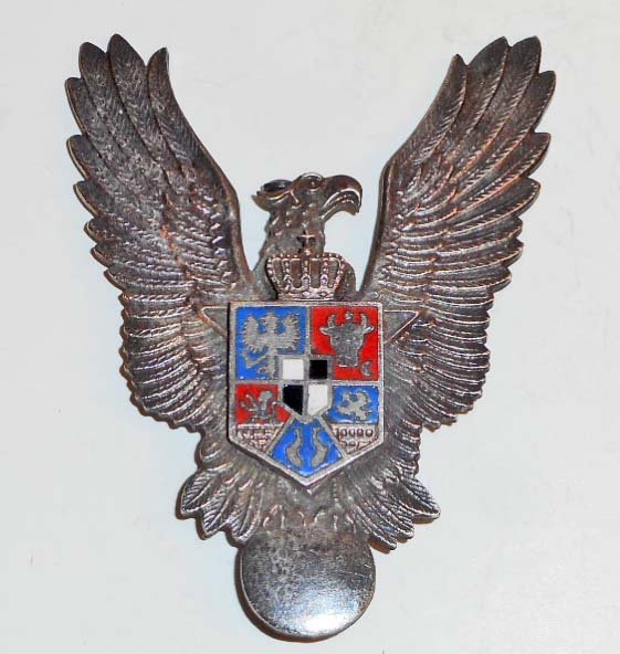 GERMAN NAZI ROMANIAN LUFTWAFFE AVIATOR AXIS PILOT BADGE: Has a thin vertical pin back with a locking device. Two piece nickel construction with enamel