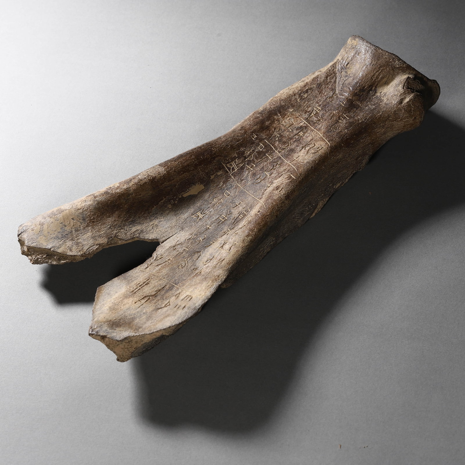 A BEAST BONE ARMOR DISH - 3