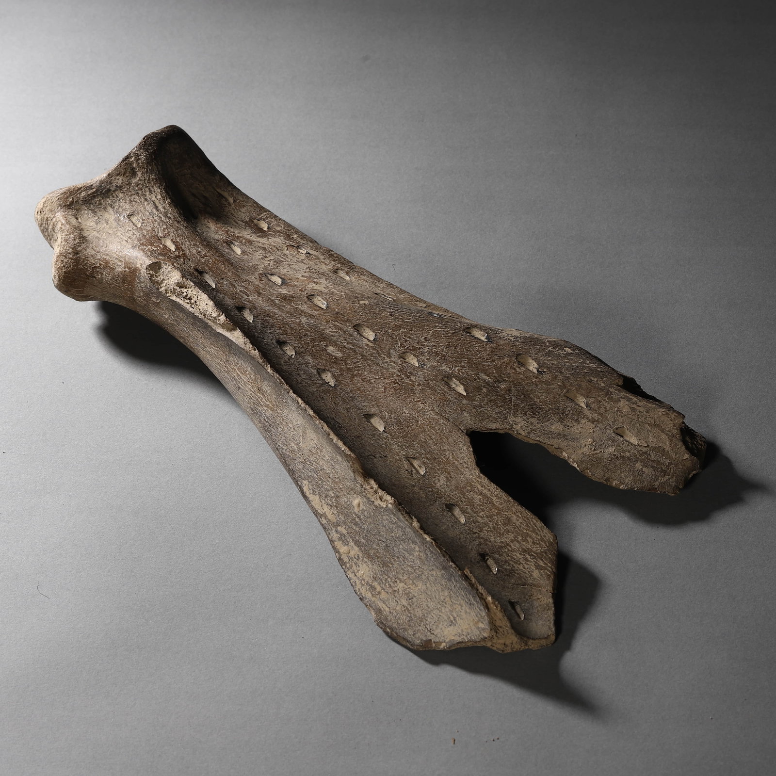 A BEAST BONE ARMOR DISH - 7
