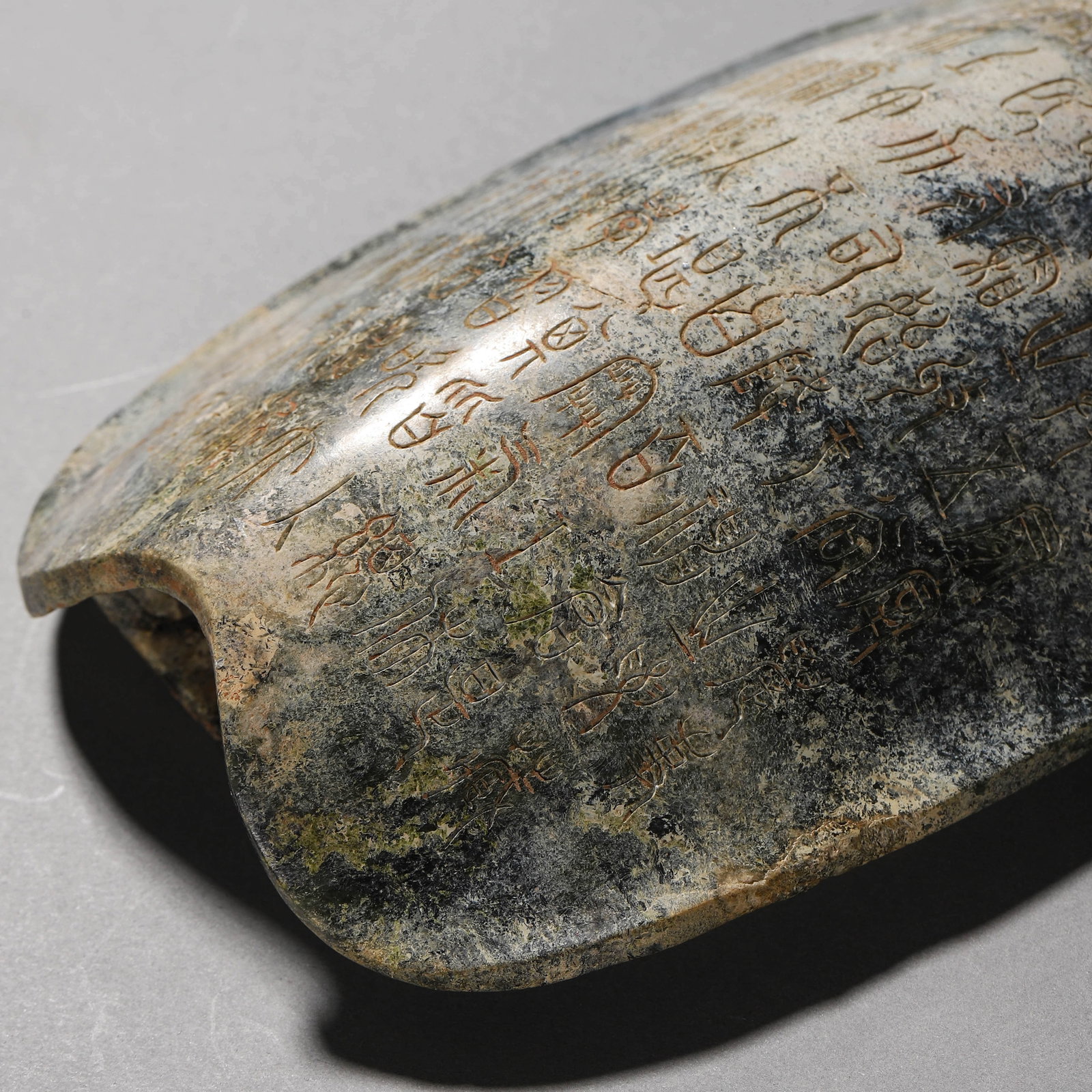 A STONE TORTOISE SHELL - 2