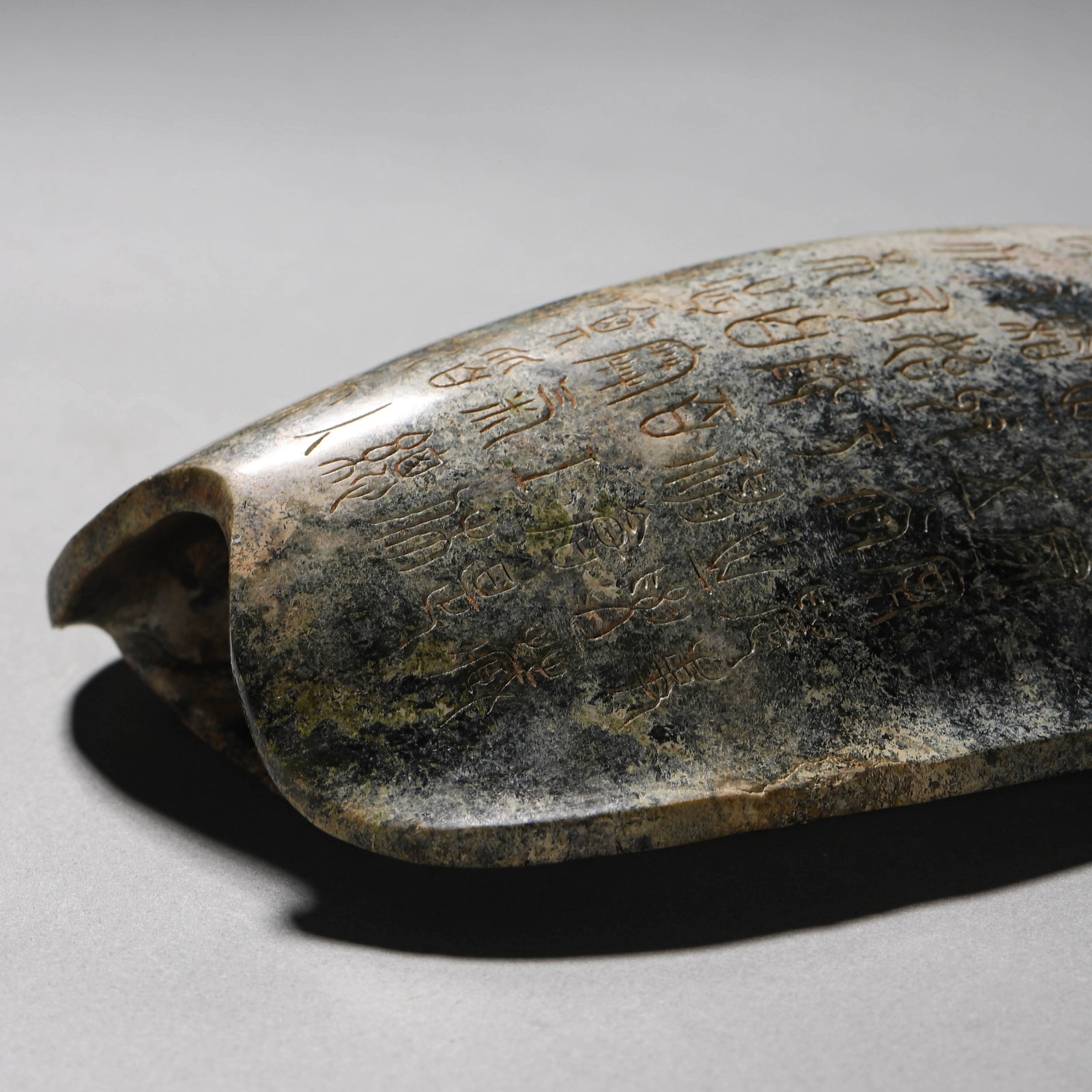 A STONE TORTOISE SHELL - 3