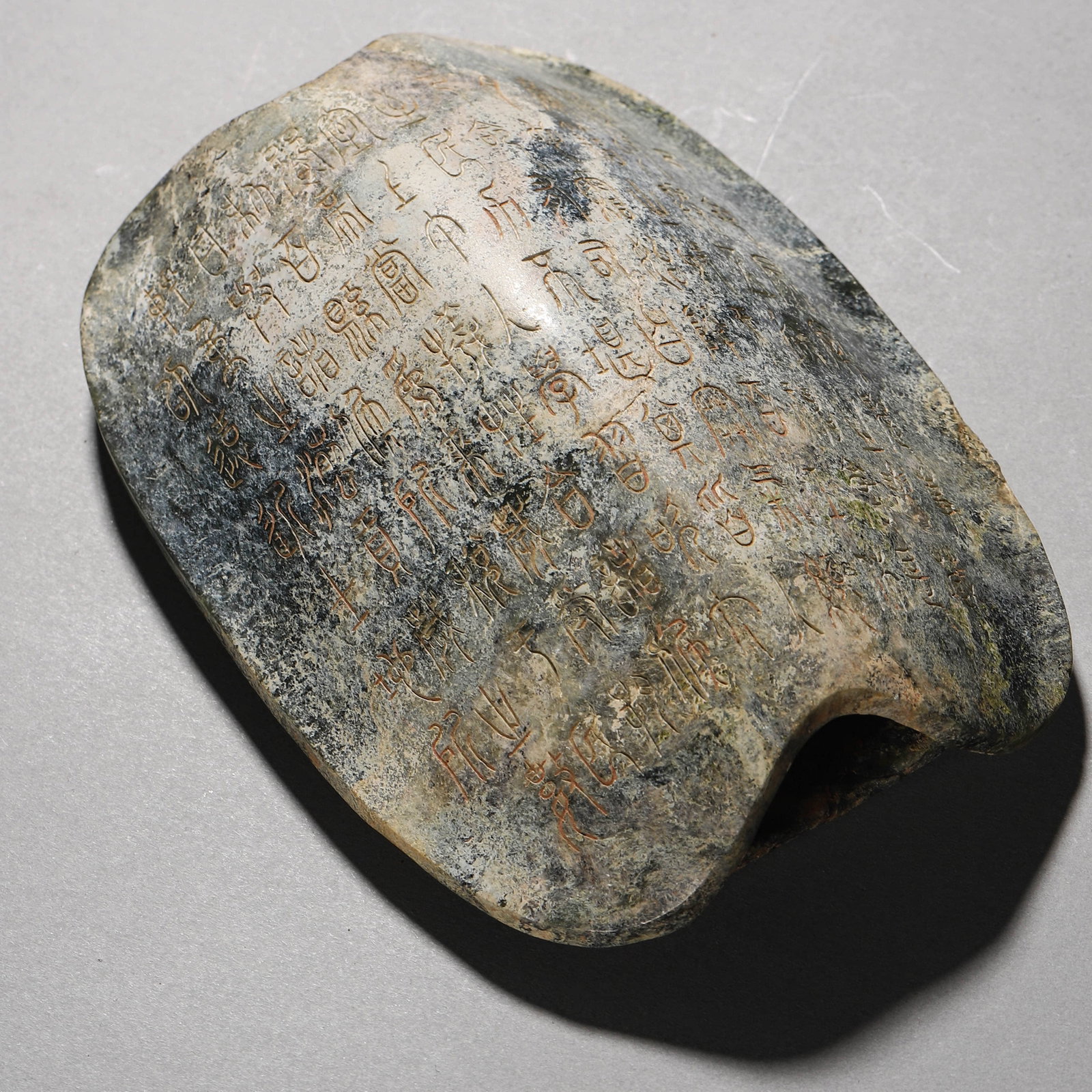 A STONE TORTOISE SHELL - 4