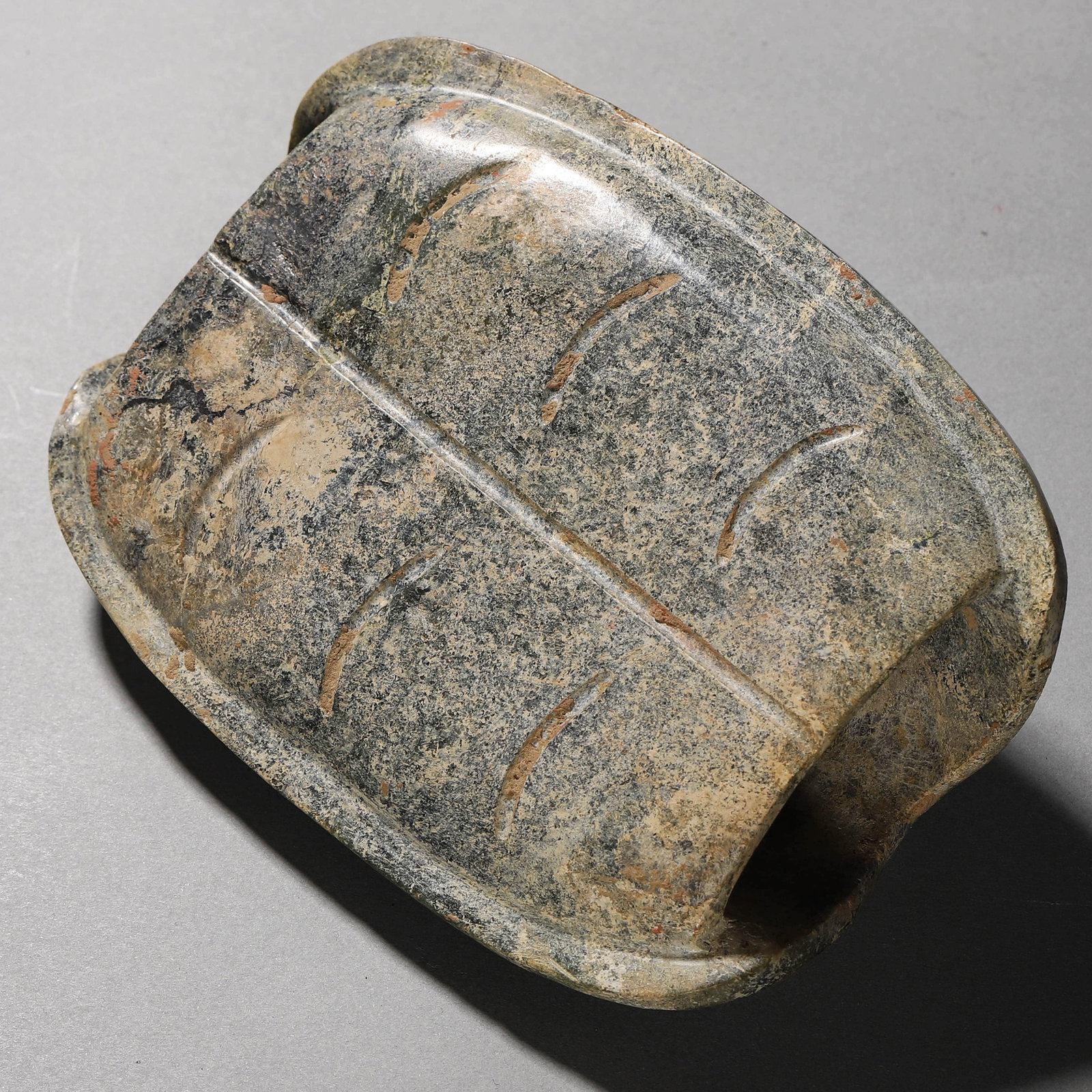 A STONE TORTOISE SHELL - 6