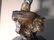 Koyemsi - Kachina Dancers Collection Mixed Media Bronze - 9