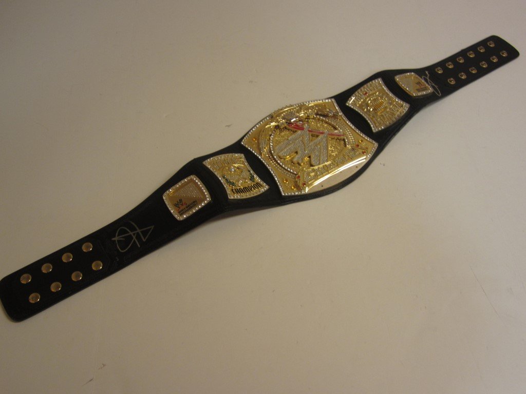 WWE Signed Belt 20+ signatures: This is a WWE Championship belt with zip up cover, it is signed / autographed by the following WWE stars: John Cena, The Rock, Kane, Alberto Del Rio, Daniel Bryan, Nikki Bella, Brie Bella, Erick Row