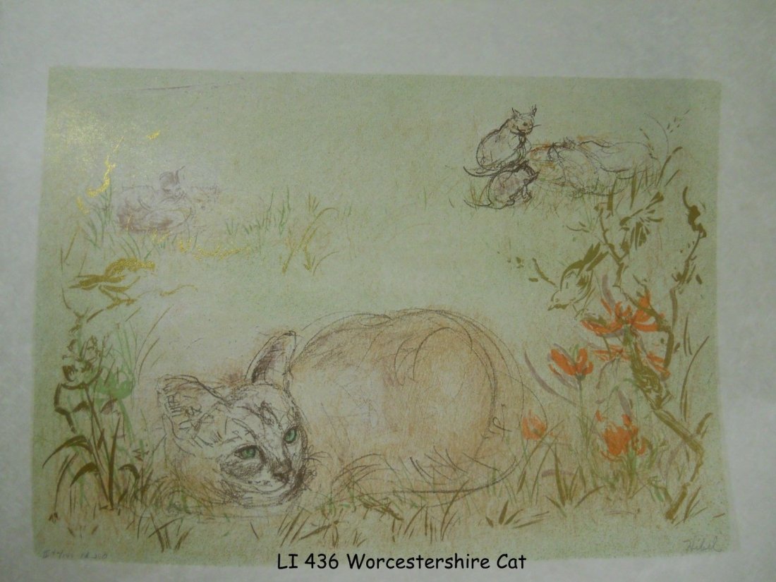 Worcestershire cat ed 280 – 1 artist proof – 1 w note (1 of 1)