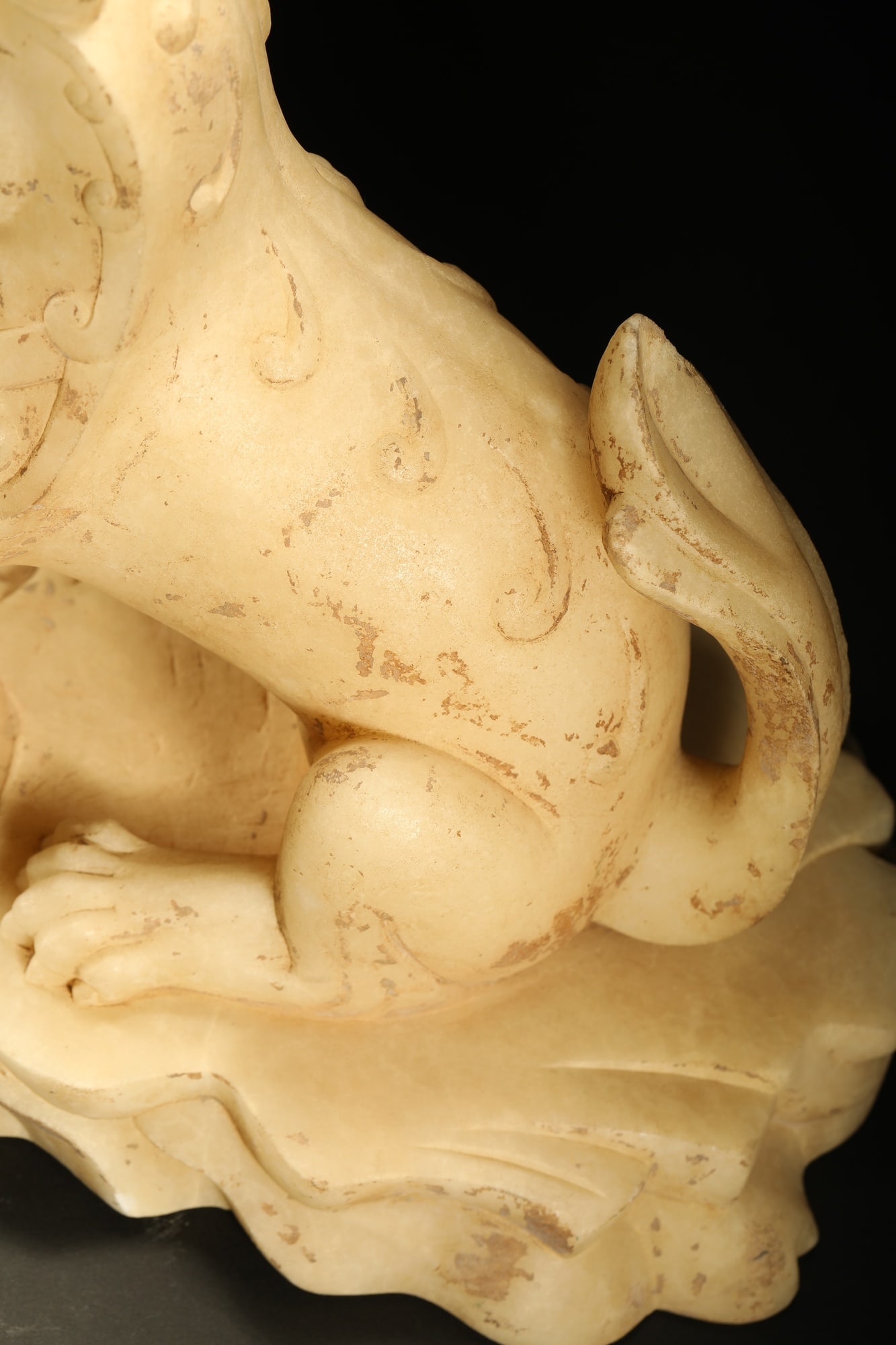 HAN BAIYU LION - 10