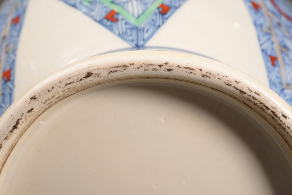 Tri-color glazed dragon-shaped double-eared vessel - 10