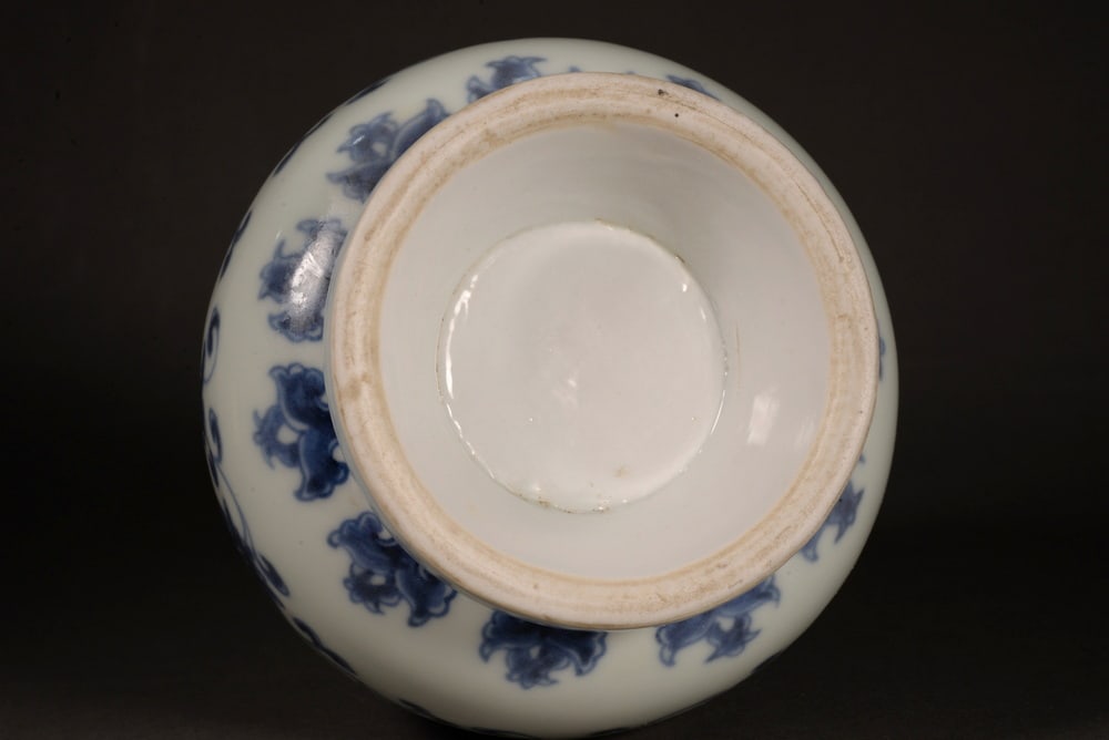 Blue and white scroll-leaf lotus vase - 9
