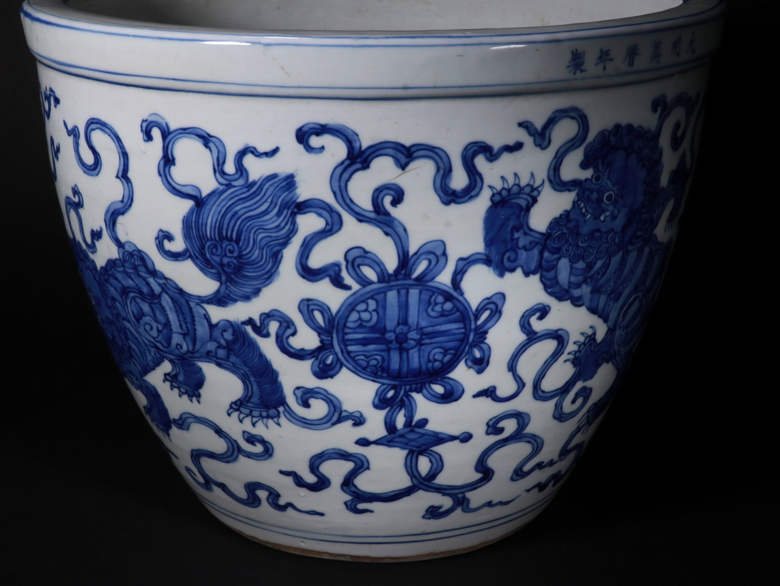 Blue and white lion-patterned vase - 6