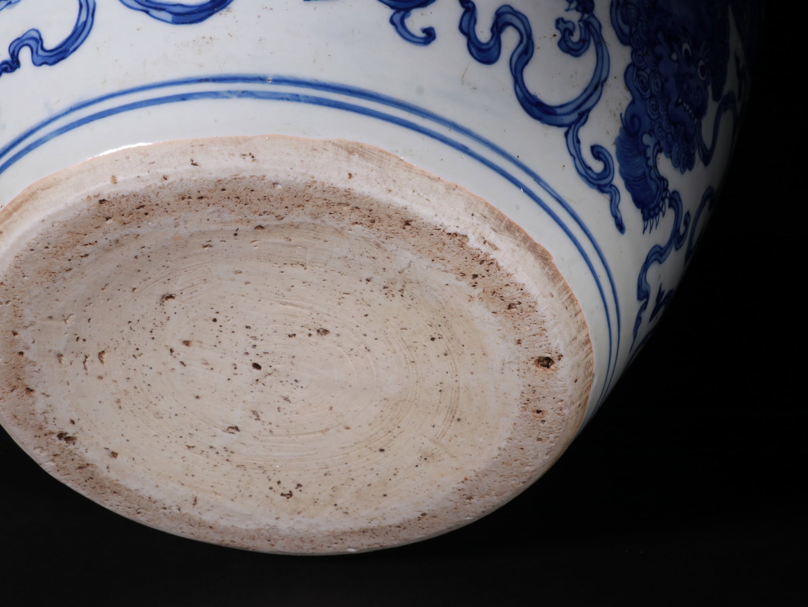 Blue and white lion-patterned vase - 8