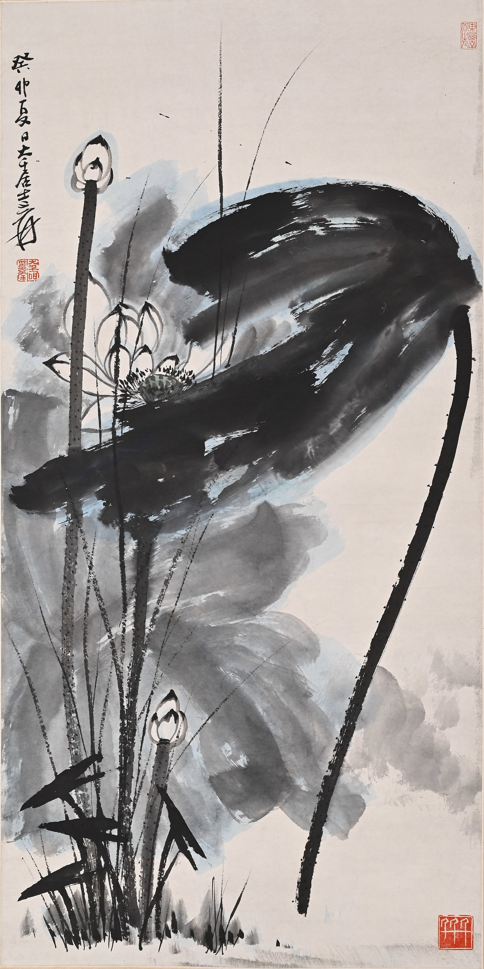 ZHANG DAQIAN (1899-1983), A VERTICAL SCROLL OF INK LOTUS ON PAPER: Height:112cm(44.09in) Width:55cm(21.65in)Vertical paper lotus scroll signed Zhang Daqian. Freehand ink painting of lotus leaves and buds, inscribed "Painted by layman Daqian in summer of Dingchou