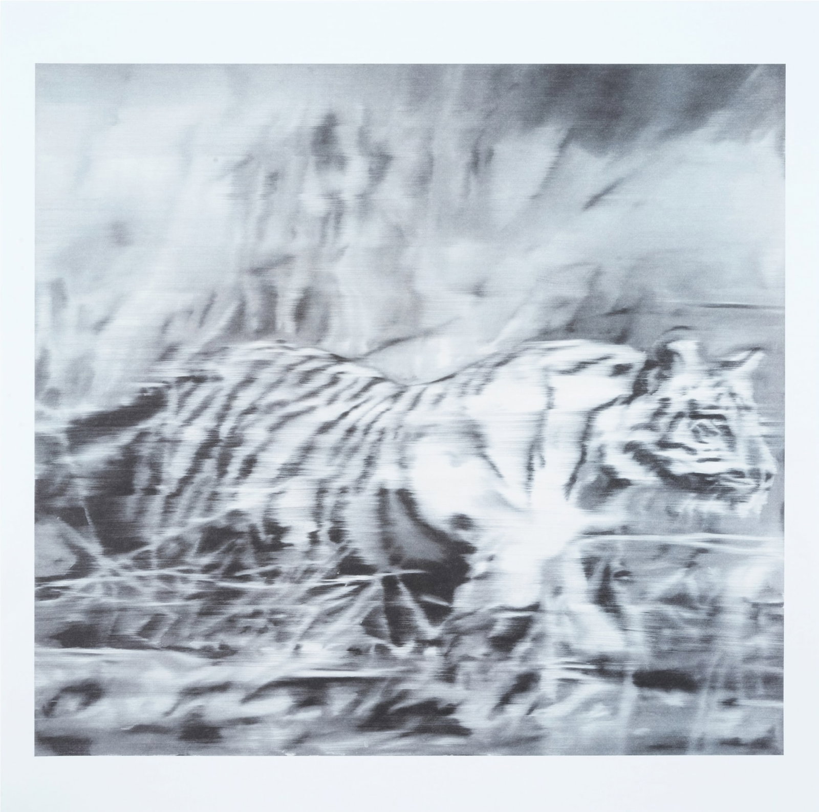 Gerhard Richter, Tiger (1965), 2023, Limited Edition Print (1 of 1)