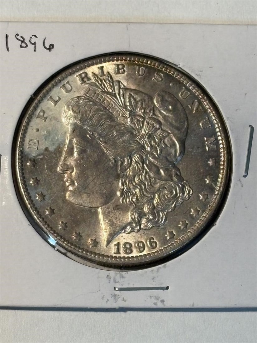 1896 Morgan Dollar (1 of 2)