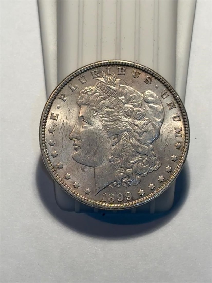 1899 Morgan Dollar