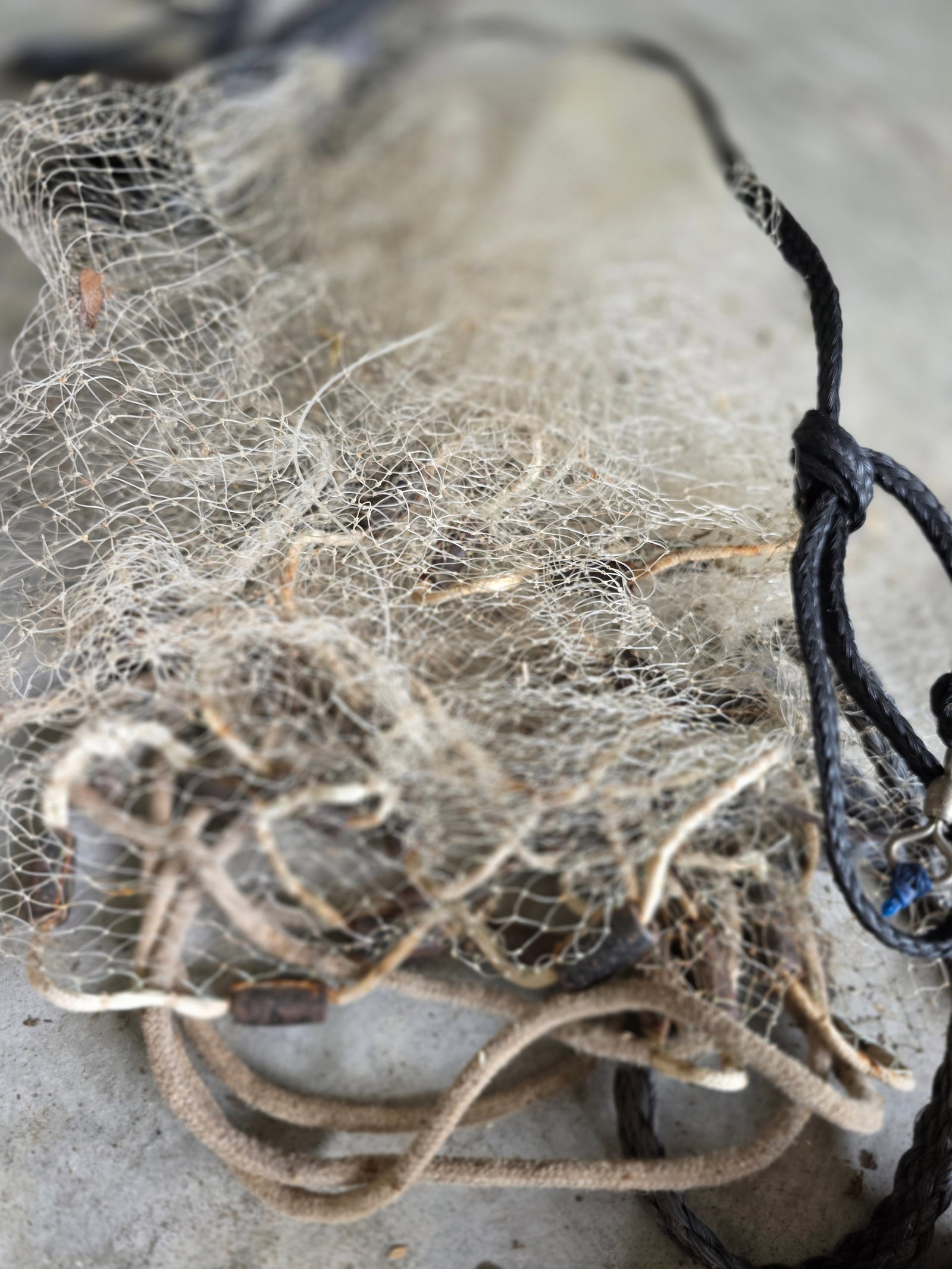 Fishing accessories - 3