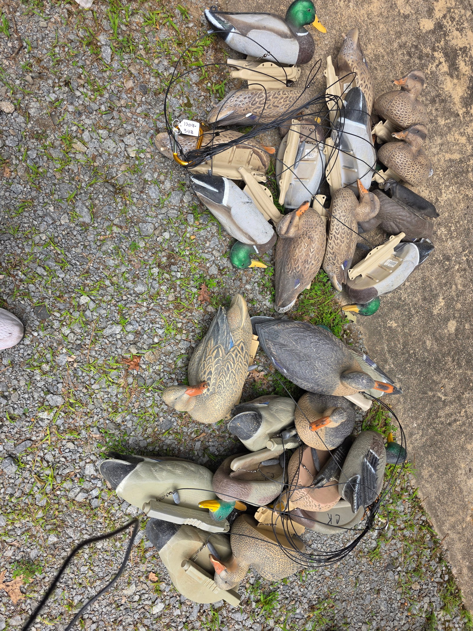 Duck Decoys - 2