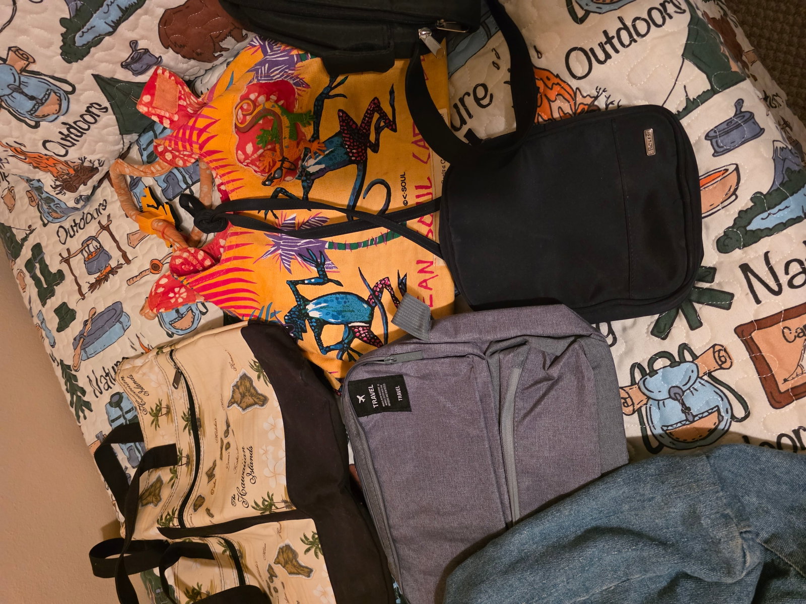 Assorted Bags, Totes - 3