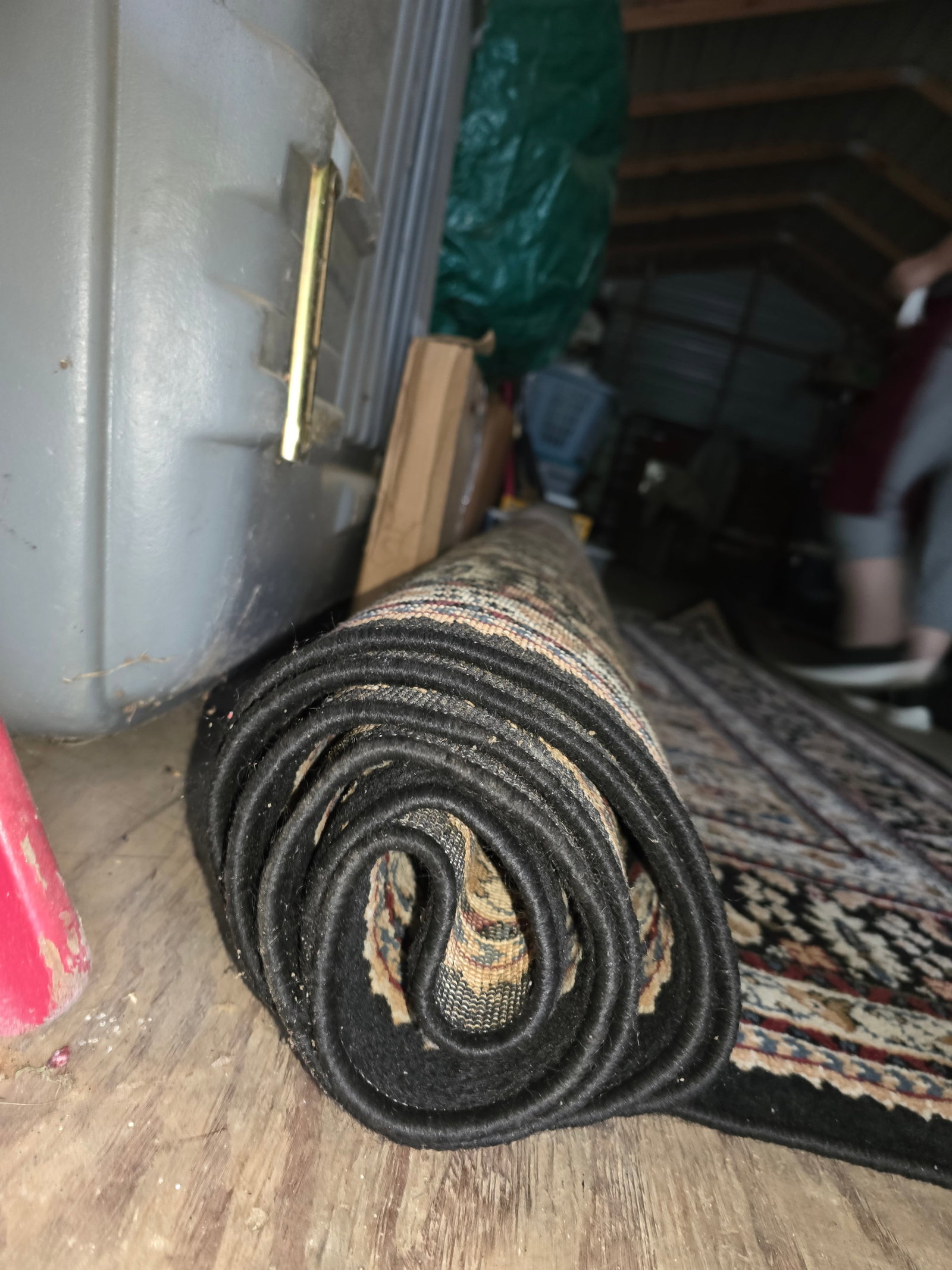 Traditional Area Rug - 3