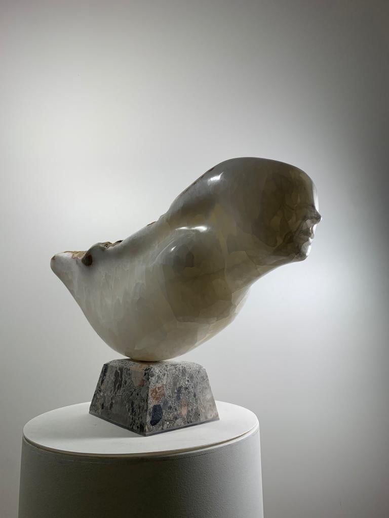Domenico Ludovico Flying, 2023 Onyx. Very precious and rare from the Apuan Alps. 15 × 25 3/5 &# (1 of 2)