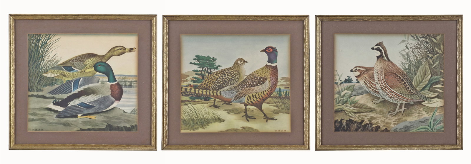 John Smith Atherton English, 1877 - 1943 (3) Still Life /Bird – Chromolithographic Prints: John Smith Atherton English, 1877 - 1943 3 Still Life /Bird – chromolithographic prints. Image size: 9 ¾ x 9 3/4 Frame size: 11 x 12” inches. Detailed Cond