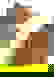 item-1376343=2