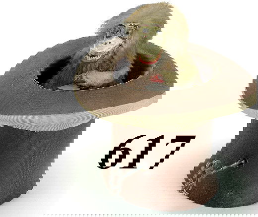 Descamps Monkey in Top Hat: fur covered glass eyed monkey in cloth top hat, musical clockwork mechanism: monkey pops head out of hat and moves lips and bangs cymbals accompanied by melodious Swiss style music box, 8" t.