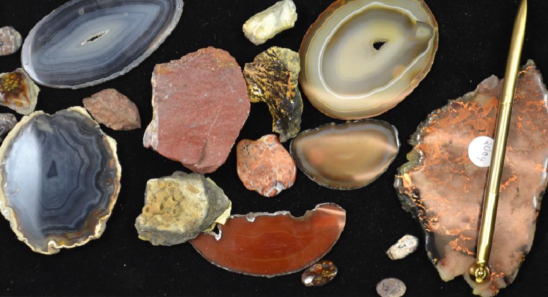 Copper, Agate and Crinoids (1 of 5)