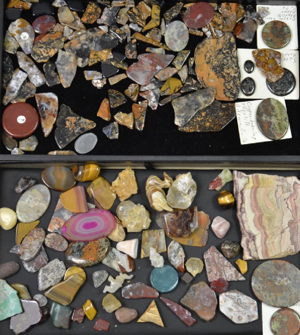 Collection of Minerals and Fossil (1 of 4)