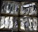 48 Pocket Knives in Original Boxes All have 1 1/2"