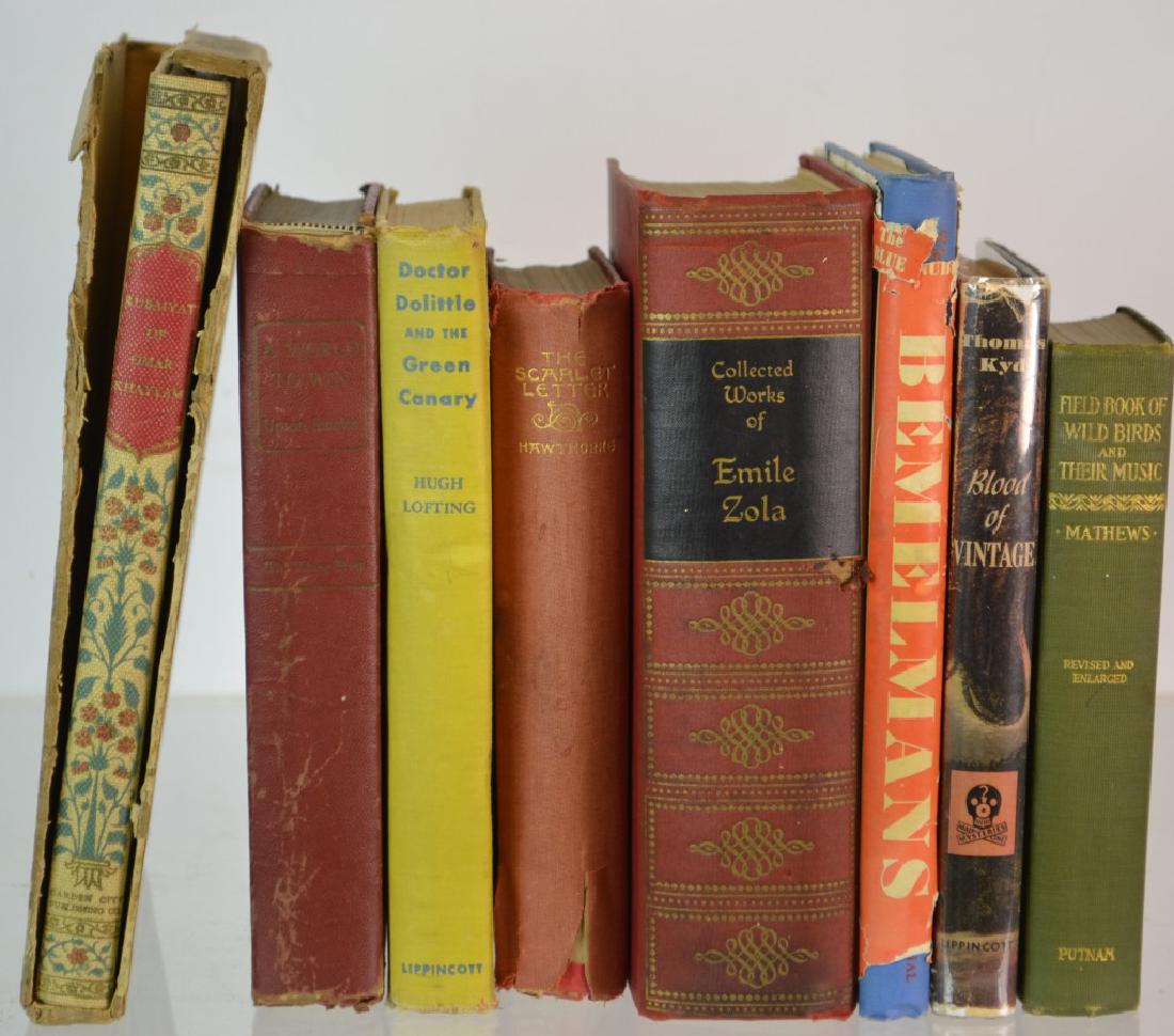 Grouping of Vintage Books: Including The Rubaiyat of Omar Khaiyam illustrated by Edmund Dulac , The Scarlet Letter copyright 1892, The Blue Danube, Field Book of Wild Birds and Their Music copyright 1921 and more.