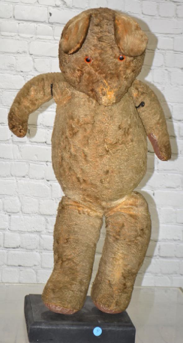 jointed teddy