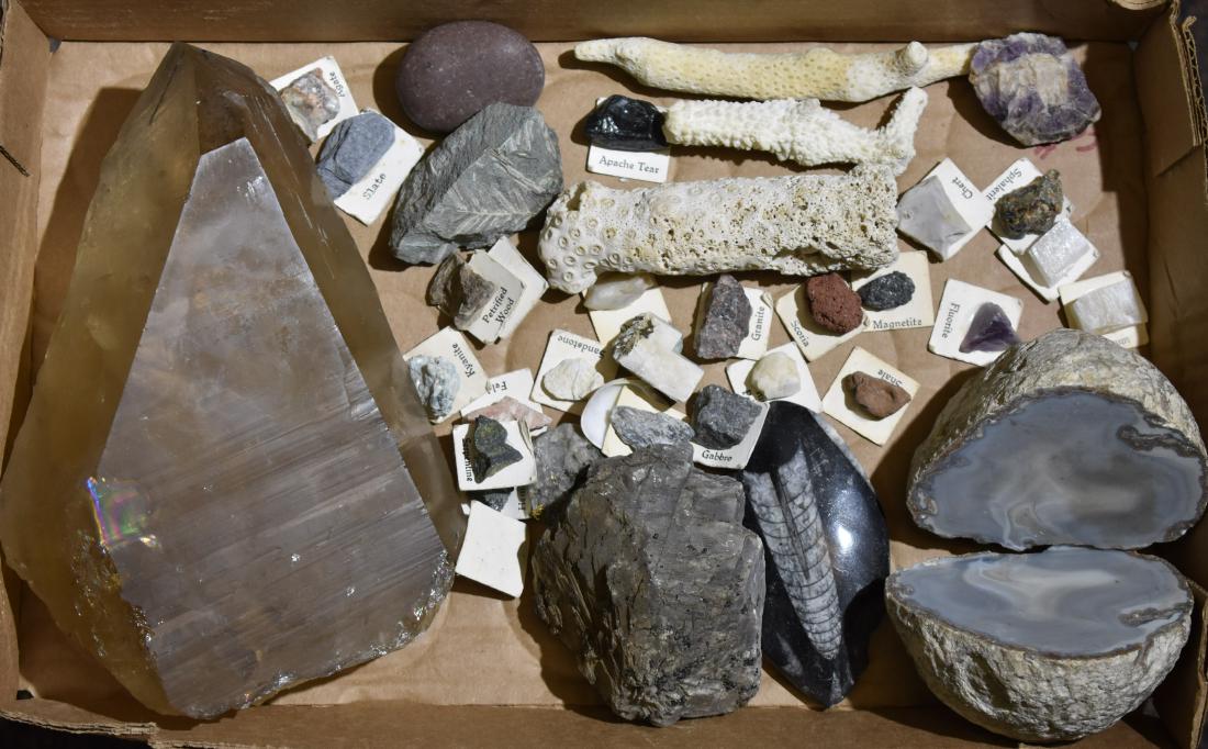 Mixed Minerals and Fossils (1 of 1)