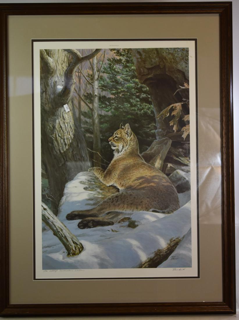 Ned Smith Signed Print of Bobcat: Exposed area 24" x 16" titled Big Woods Bobcat and numbered 1/30 and reads Wildlife Conservation Edition and is hand signed by Ned Smith, lower right. Professionally framed.