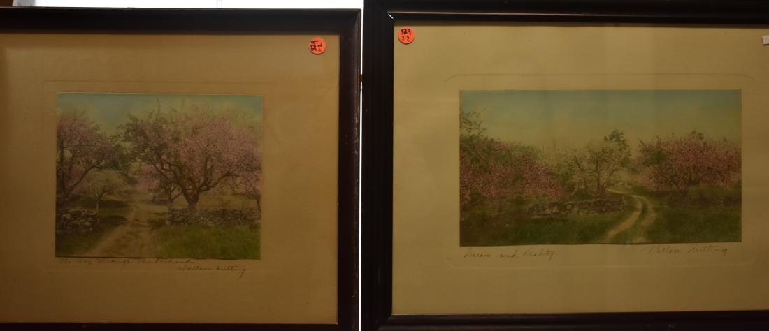 Two Wallace Nutting Hand Colored Photographs (1 of 7)