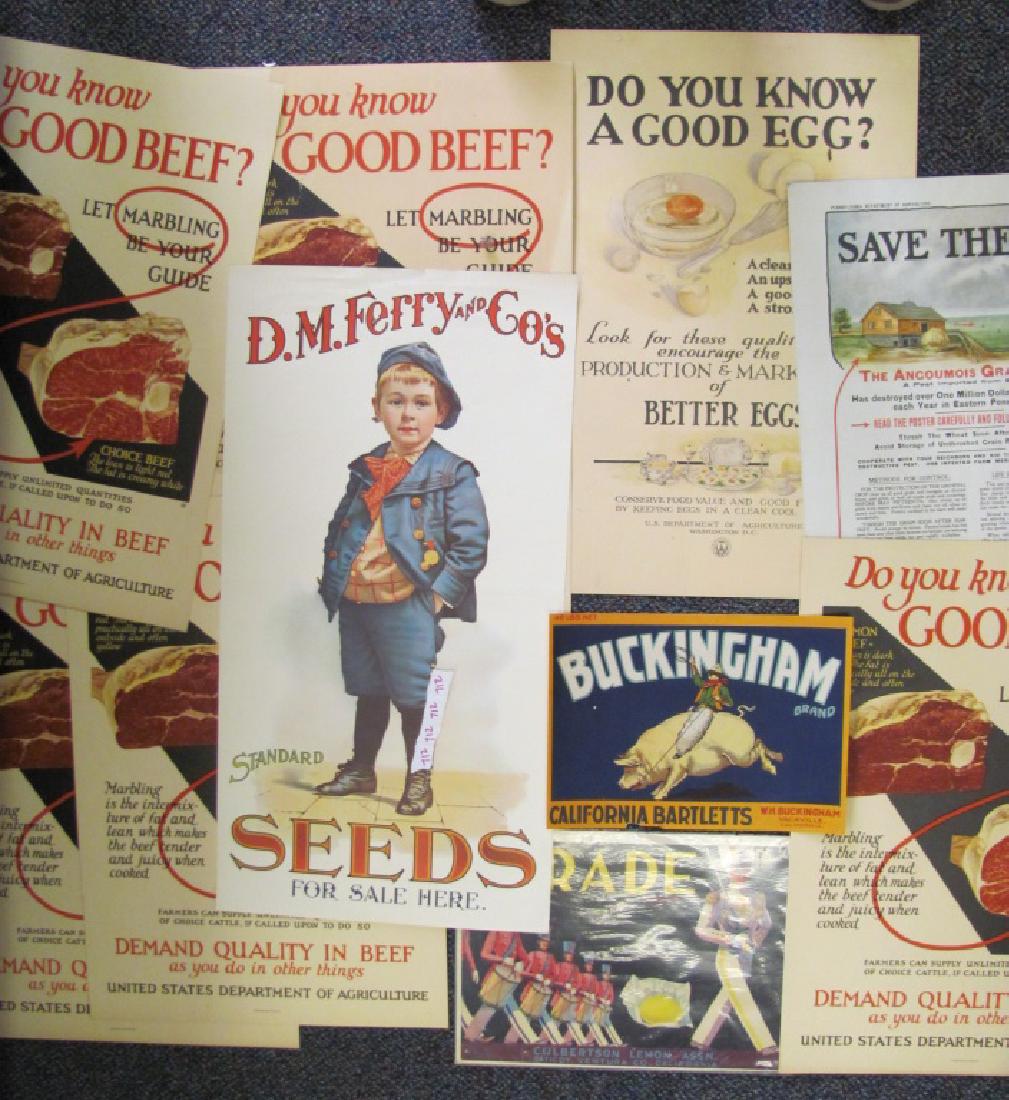 16 Seed, Produce, and Dept. of Ag Posters: Including 13 Dept. of Agriculture Posters (several duplicates), D.M. Ferry and Co's Seed Poster, Buckingham Brand crate label, and Parade Brand crate label