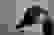 item-70108460=2