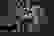 item-70108613=2
